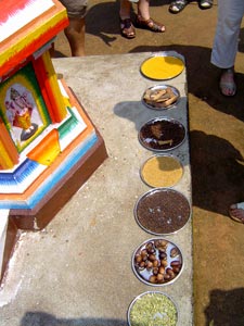 Beim Besuch einer Gew�rzfarm durften sie die Gew�rze des Landes kennenlernen...